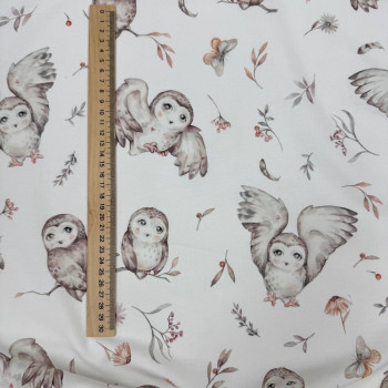 Сови