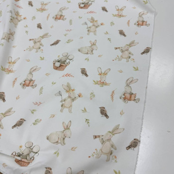 Зайчик з книгою