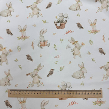 Зайчик з книгою