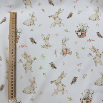 Зайчик з книгою