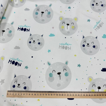 Котики місяці Котики місяці