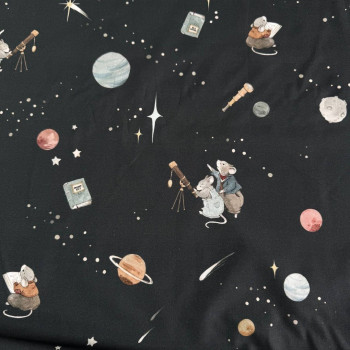 Baby mice in space on black Baby mice in space on black