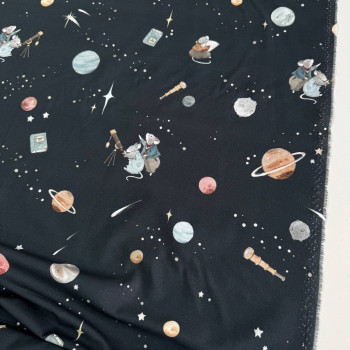 Baby mice in space on black Baby mice in space on black