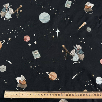Baby mice in space on black Baby mice in space on black