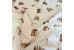 Teddy bears on a light beige background