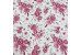 Pink flowers