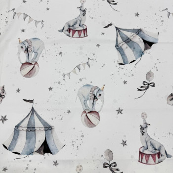 Elephants circus