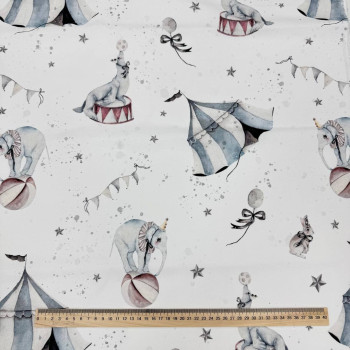 Elephants circus